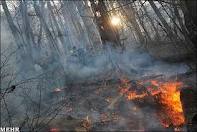 آتش سوزی در 180 هكتار از عرصه های طبیعی استان مركزی مهار شد