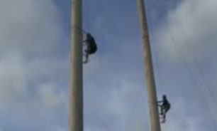 فیلم / مسابقات جهانی بالا رفتن از درخت ۲۵ متری در ۱۰ ثانیه