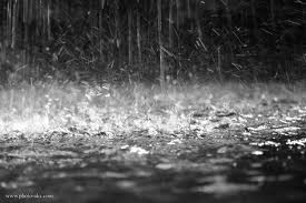 باران شدیدو تعطیلی مدارس در بندرعباس