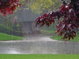 باران پائیزی در گیلان