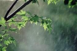 ریزش باران از امروز شهرهای سیستان و بلوچستان را فرا می گیرد