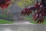 افزایش 47 درصد ی میزان بارندگی در ایلام
