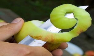 پوست کندن میوه ها یکی از بزرگترین اشتباهاتی است که مرتکب می شویم؟