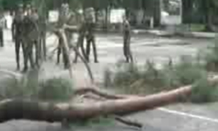 لحظه سقوط درخت به روی سربازها + فیلم