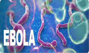 تشریح وضعیت آمادگی وزارت بهداشت در مقابله با ویروس ابولا