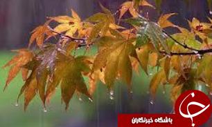بارش ها در دامنه های جنوبی زاگرس و استان بوشهر و فارس /تهران، وزش باد و 10 درجه