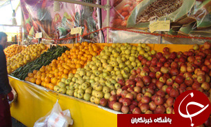ذخیره سازی میوه های عید توسط سازمان تعاونی کشور