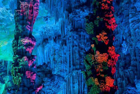 رید فلوت شگفت انگیزترین غار آهکی جهان+عکس//////ساعت 19.30 منتشر شود
