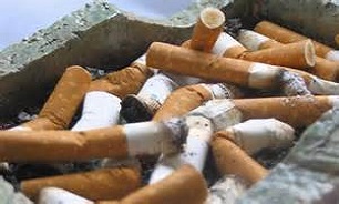 طرح جمع آوری فیلتر سیگار در شمیرانات با شعار محیط زیست سالم