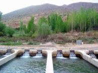 ایجاد مزارع پرورش ماهیان خاویاری در استان چهارمحال وبختیاری