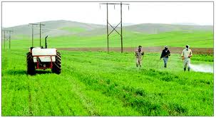 انجام عملیات سم‌پاشی به غیر از ارتفاعات غربی استان مازندران