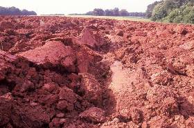 کاهش کیفیّت خاک از عوارض پَسرفت دریاچه ارومیه