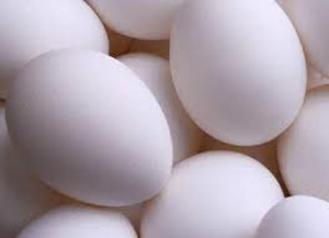 تولید سالانه 510 تن تخم مرغ در فارس