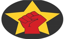 سوسیالیست‌های انقلابی: صباحی ائتلاف معارضان تشکیل می‌دهد