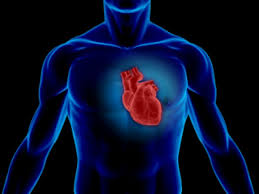 راهکارهای کاهش بیماری های قلبی و عروقی