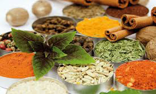 در زمینه طب پزشکی خوب کار کردیم/ طب سنتی هنوز جای کار دارد