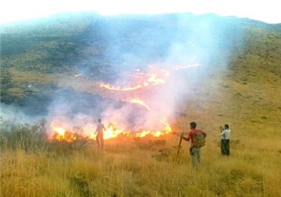 یکصد هکتار از منطقه ای ییلاق دشت پارک ملی گلستان در آتش سوخت/ چهارمین آتش سوزی از ابتدای تیرماه