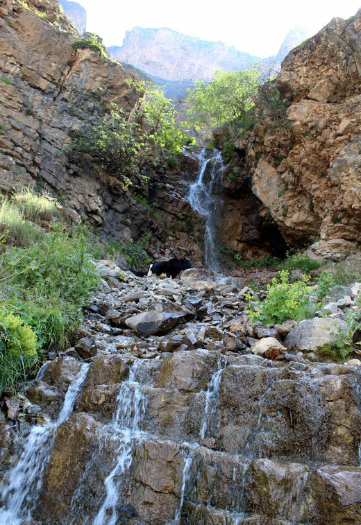 طبیعت‌ بکر و ناب "هریجان" در دل رشته‌کوه‌های البرز + تصاویر