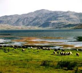 بهره برداری از چهار ایستگاه محیط بانی در مناطق حفاظت شده استان چهارمحال و بختیاری