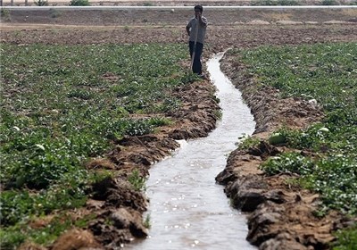 شوری آب کارون سبب کاهش محصولات کشاورزی در خوزستان شده است