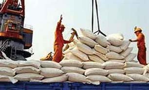 568 هزار تن برنج به کشور وارد شد / واردات برنج از چین