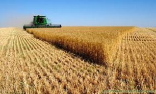 22 هزار تن بذر در استان کرمانشاه خریداری شد.