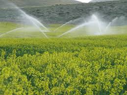 مزارع و کشتزارهای استان اردبیل به آبیاری مدرن مجهز می شود