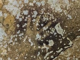 قدیمی‎ترین نقاشی جهان به عمر 40,000 سال
