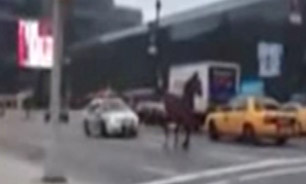 خودروهای پلیس اسب رها شده در خیابان را اسکورت کردند + فیلم