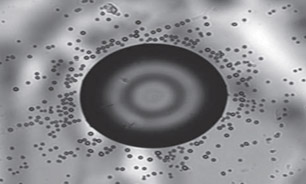 روشی ساده برای تبدیل اکسید گرافن به قطرات بلور مایع