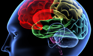 فلج مغزی چیست؟