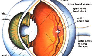 اعمال جراحی غیر اصولی در صورت می تواند بینایی را مختل کند