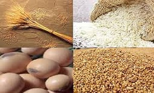 واردات گندم افزایش و واردات برنج کاهش یافت