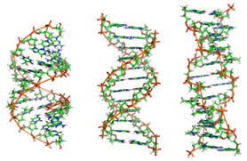 یک کشف شگفت‌انگیز درباره DNA