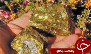 تولید بیش از ۲۸۰ کیلوگرم طلا در مجتمع موته