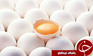 افزایش 25 درصدی توليد و صادرات تخم مرغ در اصفهان
