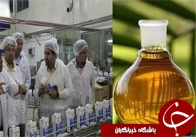 انجمن صنایع روغن نباتی متولی خرید دانه‌های روغنی سال ۹۴ شد