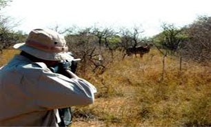 دستگیری شکارچی متخلف در منطقه شکار ممنوع کاشمر