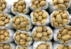 صادرات سیب زمینی اردبیل به کشورهای همجوار