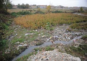 تخریب اراضی زراعی آبیاری شده با فاضلاب در تربت جام
