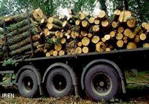 كشف 3 تن چوب آلات جنگلی قاچاق در آمل