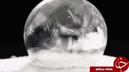حباب های یخ زده + تصاویر