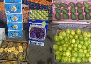 قاچاق میوه از 5 کشور