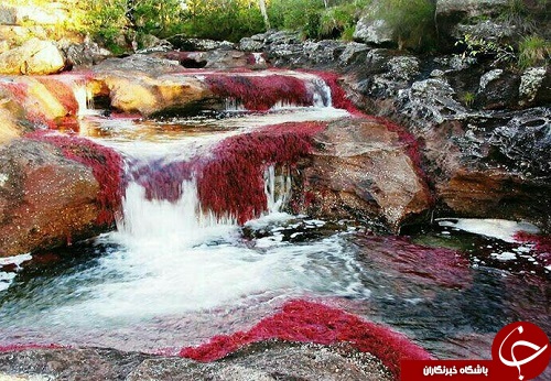 رودخانه رنگین کمان واقع در کلمبیا