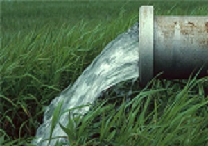 مصرف آب در بخش کشاورزی باید ۵۰ درصد کاهش یابد