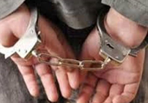 شبیخون پلیس به شکارچیان طلافروشی‌های فارس/ سرکرده در پایتخت دستگیر شد