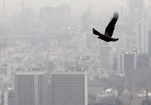 هزینه تهرانی ها برای آلودگی هوا 5 برابر یارانه‌شان