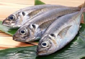 کاهش 6 درصدی صادرات ماهیان گرم آبی
