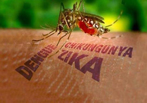درخواست سازمان جهانی بهداشت برای مقابله با شیوع ویروس زیکا