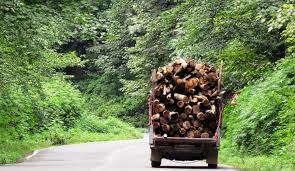 کشف وضبط 40 تن چوب جنگلی از قاچاقچیان